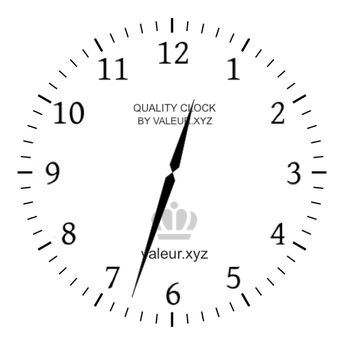 Analog clock showing the time 12:33 PM