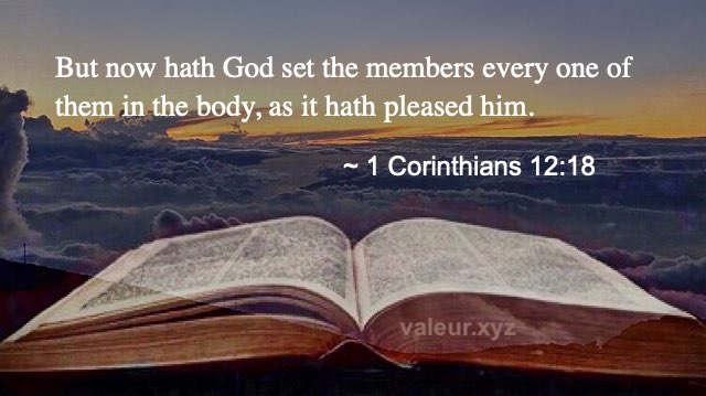 1 Corinthians 12:18