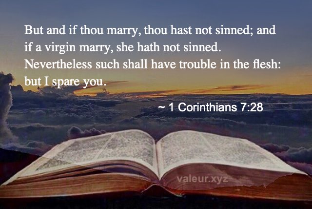 1 Corinthians 7:28