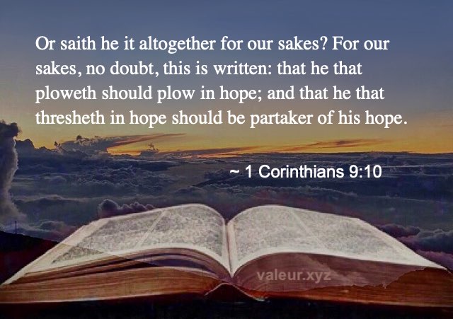1 Corinthians 9:10
