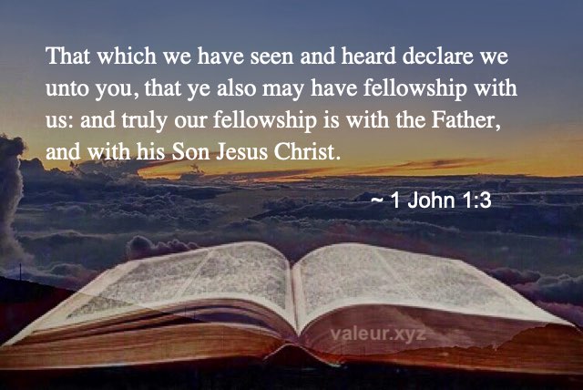 1 John 1:3