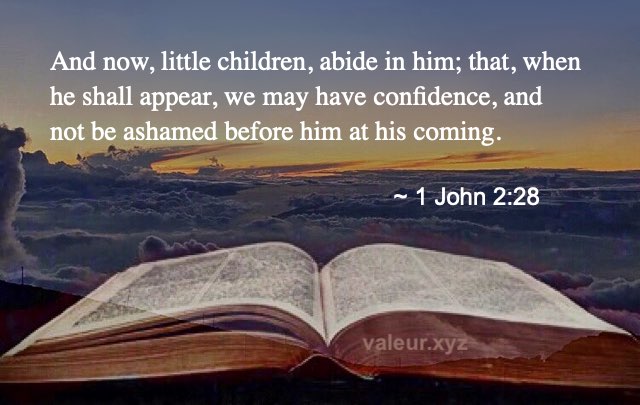 1 John 2:28