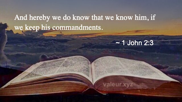 1 John 2:3