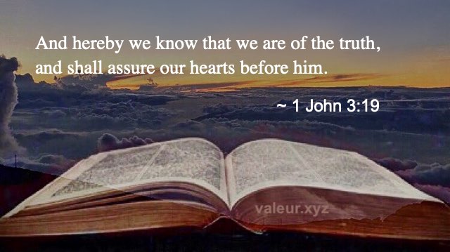 1 John 3:19