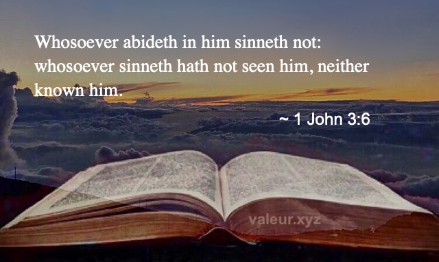 1 John 3:6