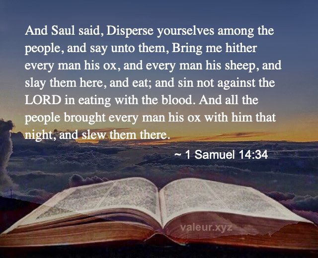 1 Samuel 14:34