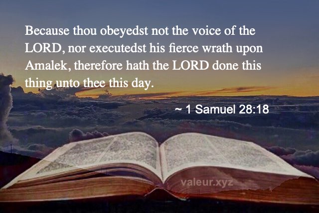 1 Samuel 28:18