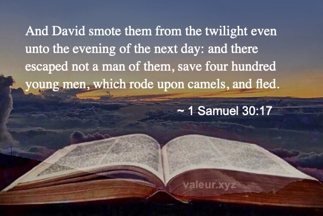 1 Samuel 30:17