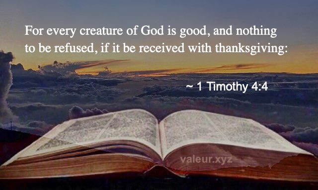 1 Timothy 4:4