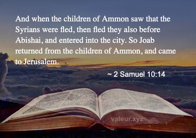 2 Samuel 10:14