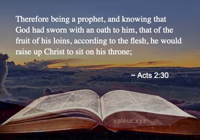 Acts 2:30