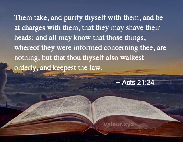 Acts 21:24