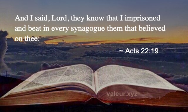 Acts 22:19
