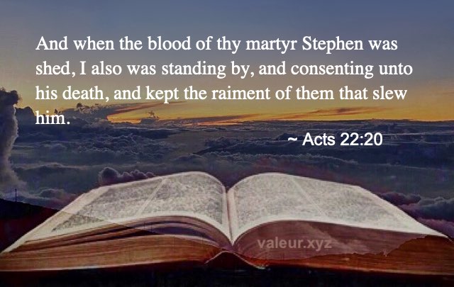 Acts 22:20