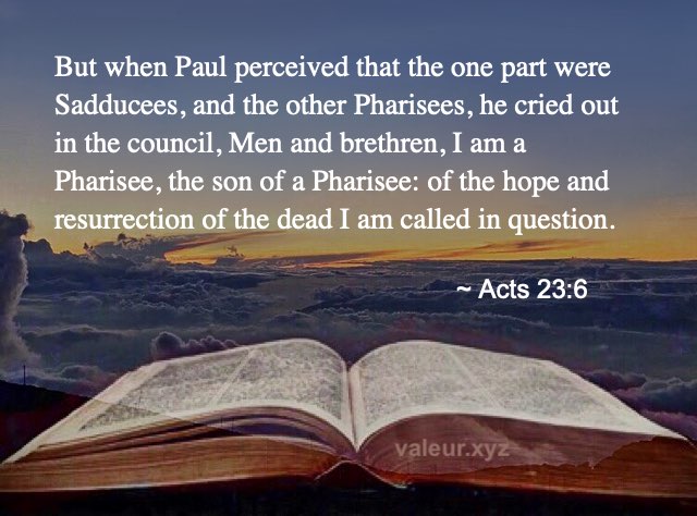 Acts 23:6