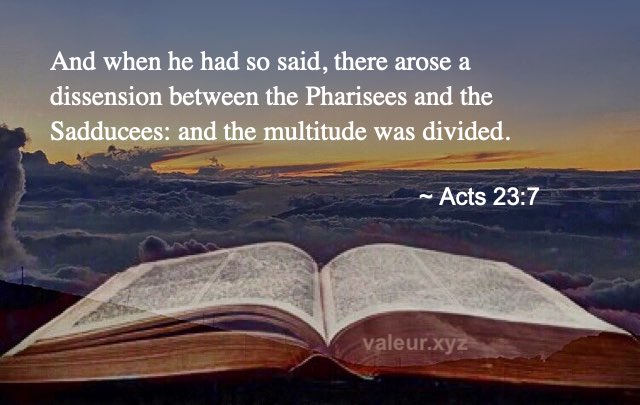 Acts 23:7