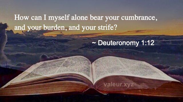 Deuteronomy 1:12