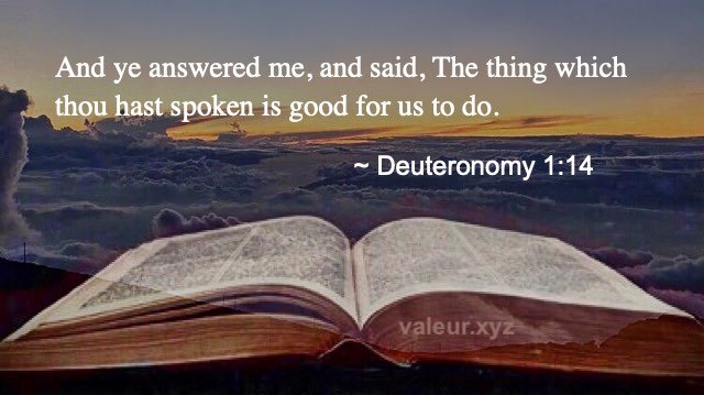 Deuteronomy 1:14