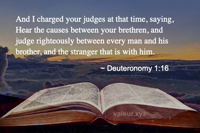 Deuteronomy 1:16