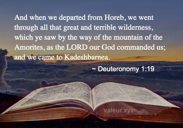 Deuteronomy 1:19