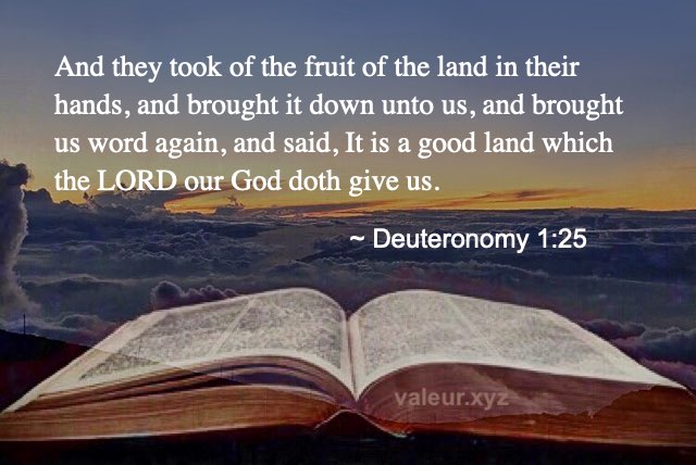 Deuteronomy 1:25