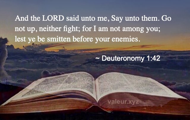 Deuteronomy 1:42