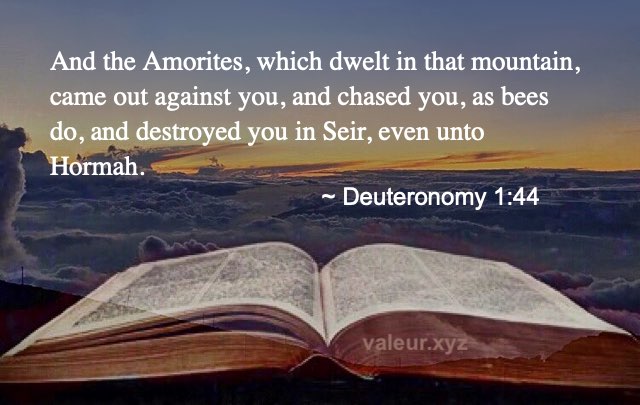 Deuteronomy 1:44