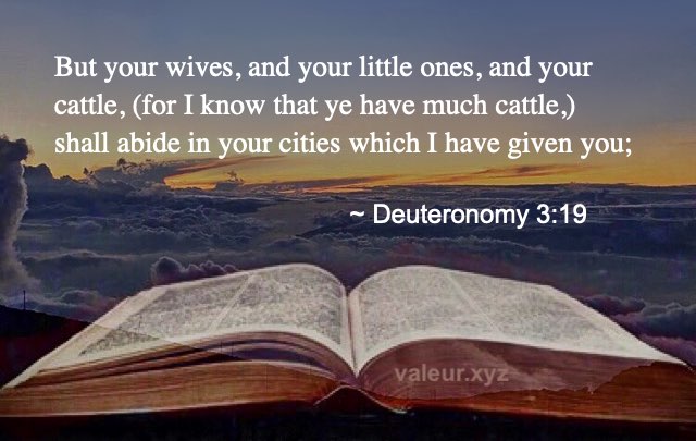 Deuteronomy 3:19