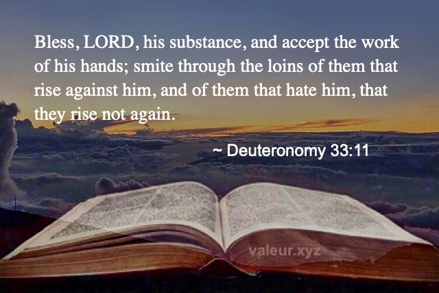 Deuteronomy 33:11 Deuteronomy 33:11