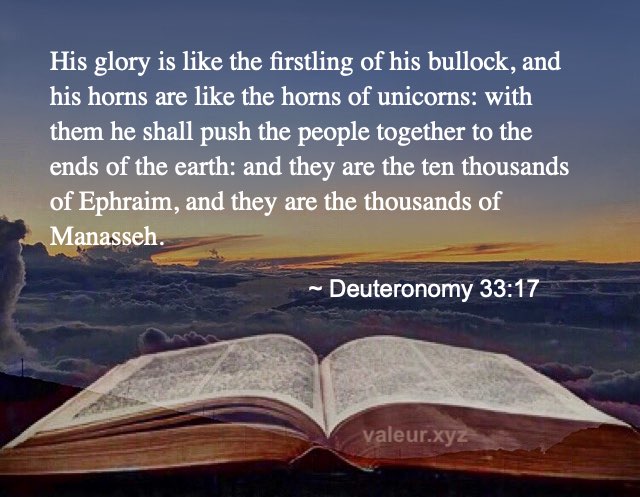 Deuteronomy 33:17