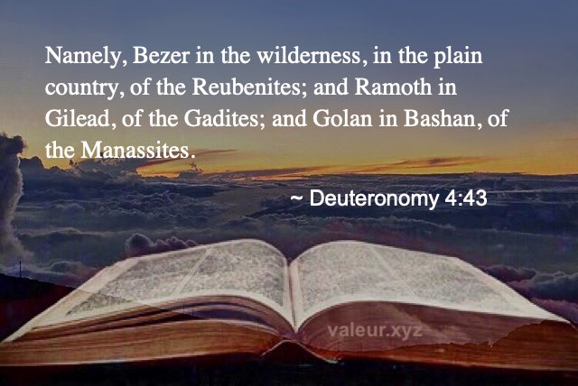 Deuteronomy 4:43