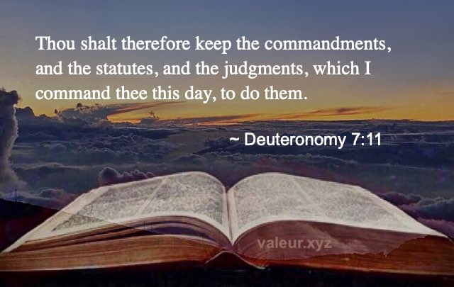 Deuteronomy 7:11