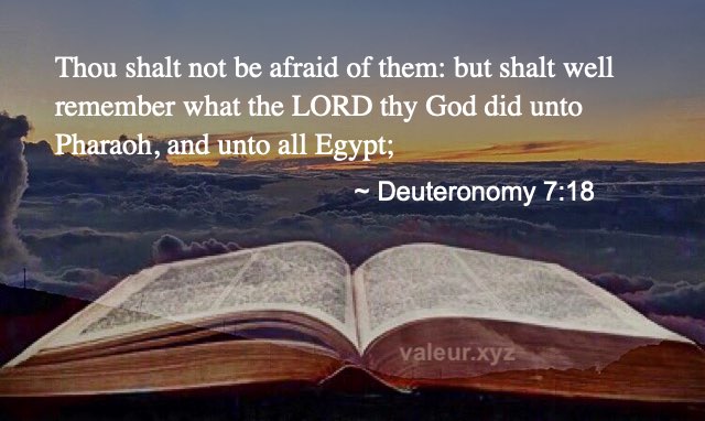 Deuteronomy 7:18