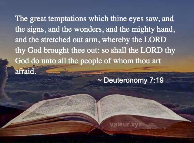 Deuteronomy 7:19