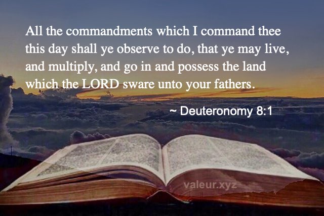 Deuteronomy 8:1