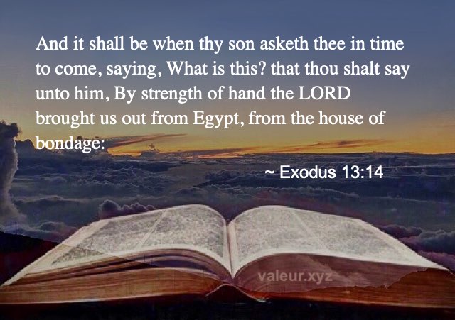 Exodus 13:14
