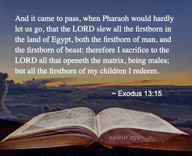 Exodus 13:15