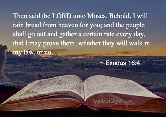 Exodus 16:4