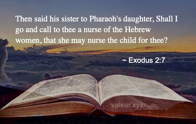Exodus 2:7