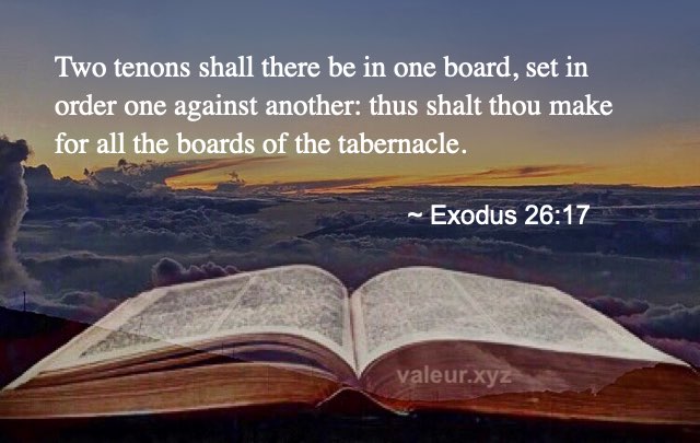Exodus 26:17