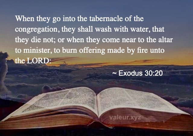 Exodus 30:20