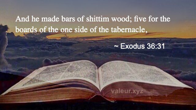 Exodus 36:31