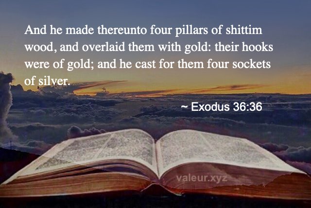 Exodus 36:36