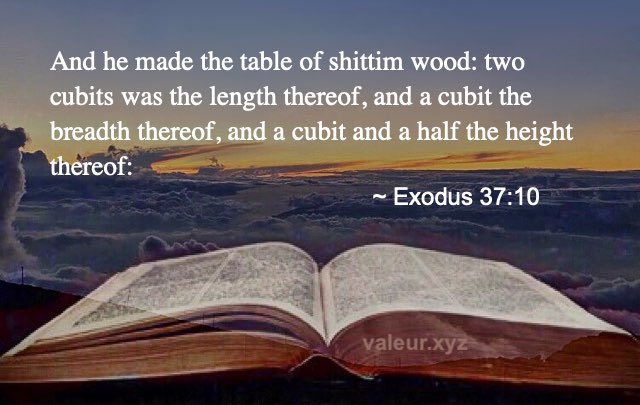 Exodus 37:10