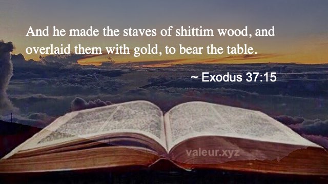 Exodus 37:15