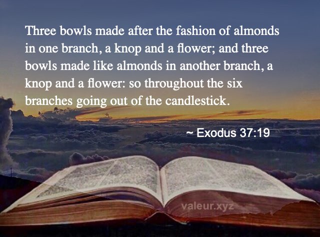 Exodus 37:19