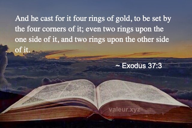 Exodus 37:3