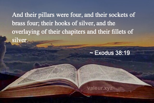 Exodus 38:19