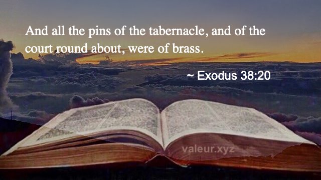 Exodus 38:20