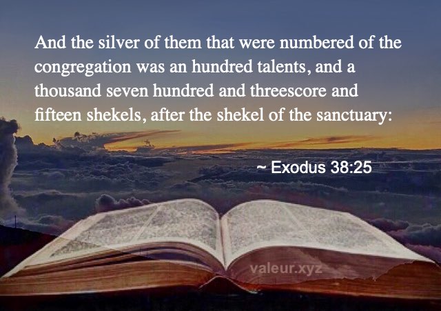 Exodus 38:25